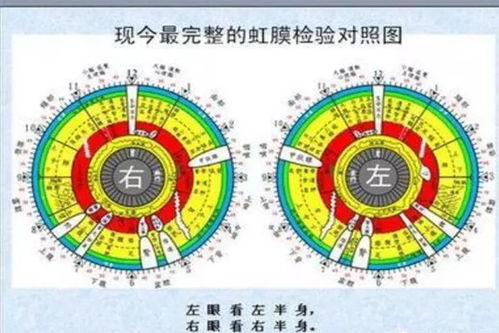 疑问解答 虹膜全息健康咨询师好找工作吗,需要考证吗